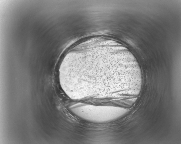 X0000055971308200509162148