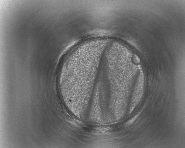 X0000055971309200509162148