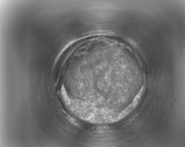 X0000055971310200509162148