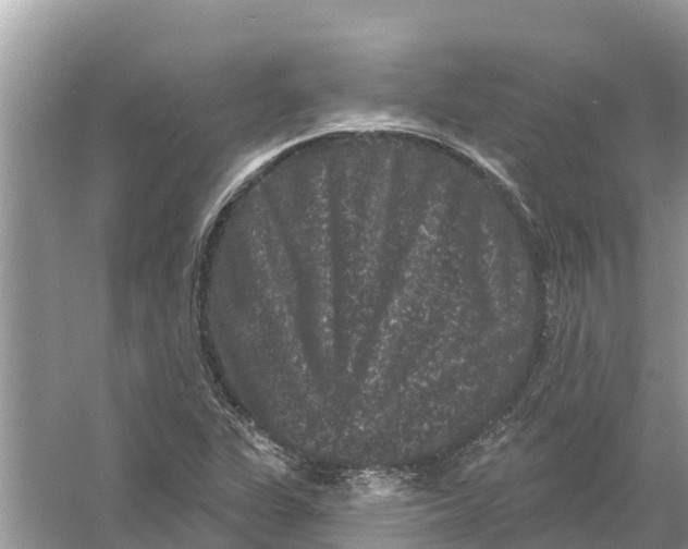 X0000055971311200509162148