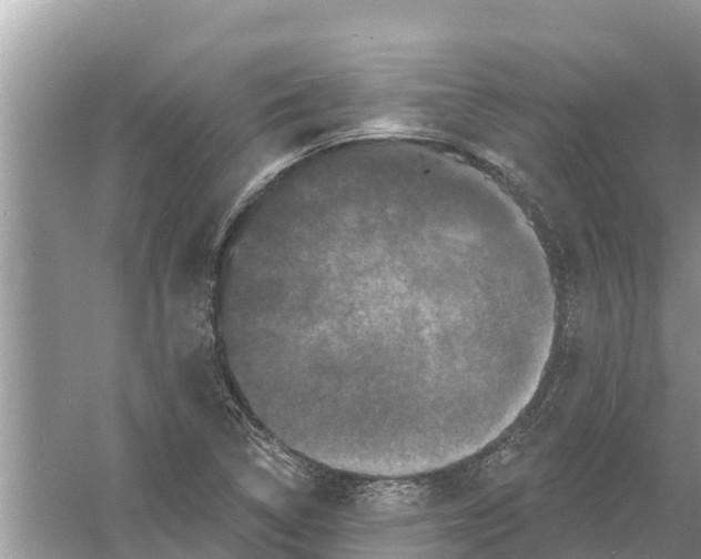 X0000055971314200509162148