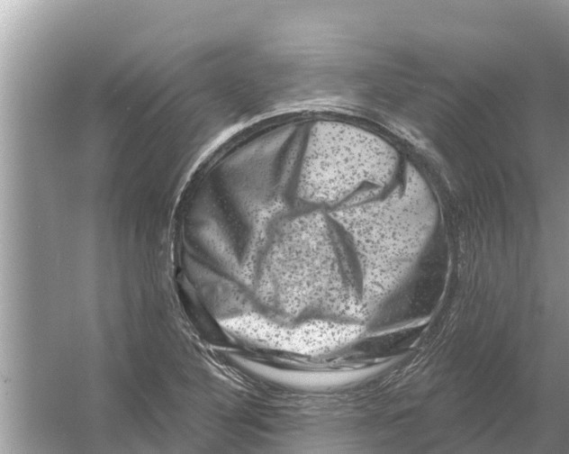 X0000055971316200509162148