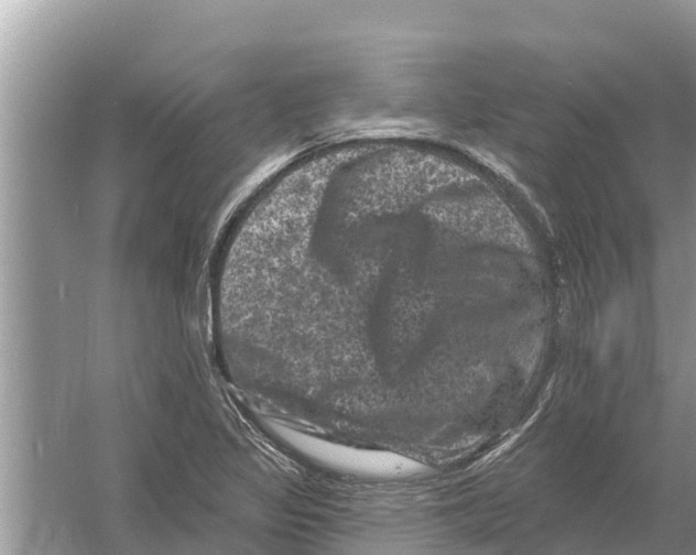 X0000055971317200509162148