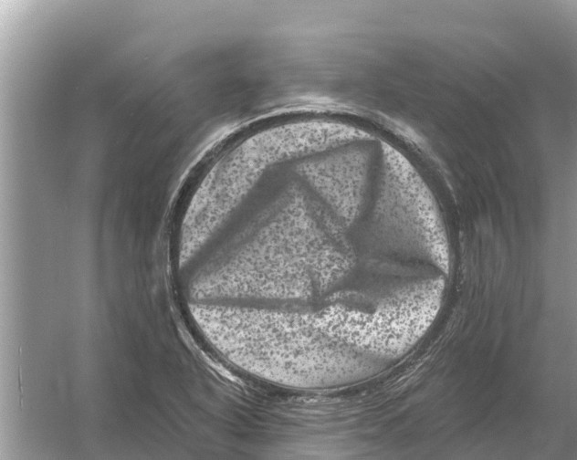 X0000055971318200509162148