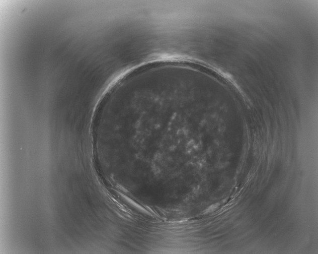 X0000055971319200509162148