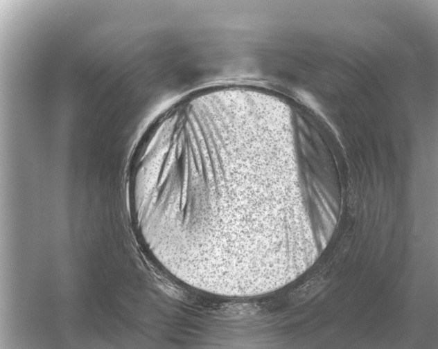 X0000055971320200509162148