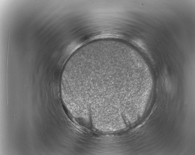 X0000055971321200509162148