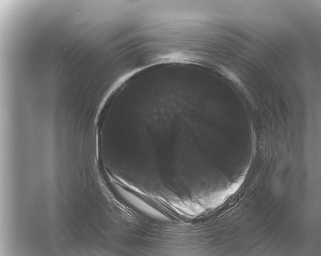 X0000055971323200509162148