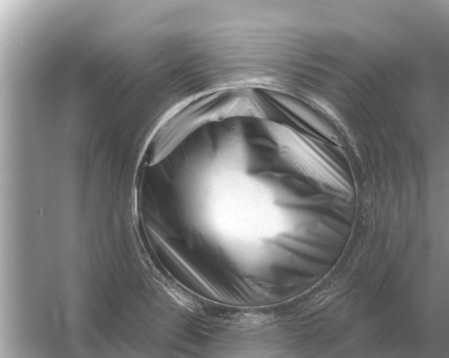 X0000055971324200509162148