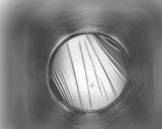 X0000055971325200509162148