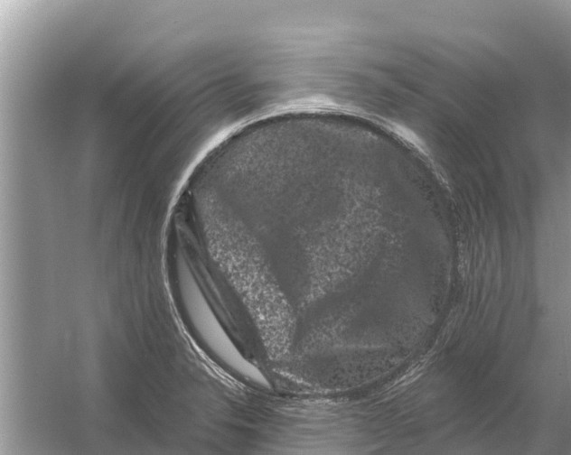 X0000055971326200509162148