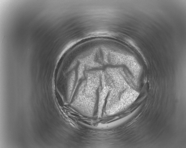 X0000055971328200509162148