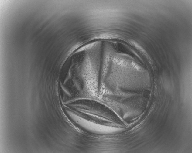 X0000055971329200509162148