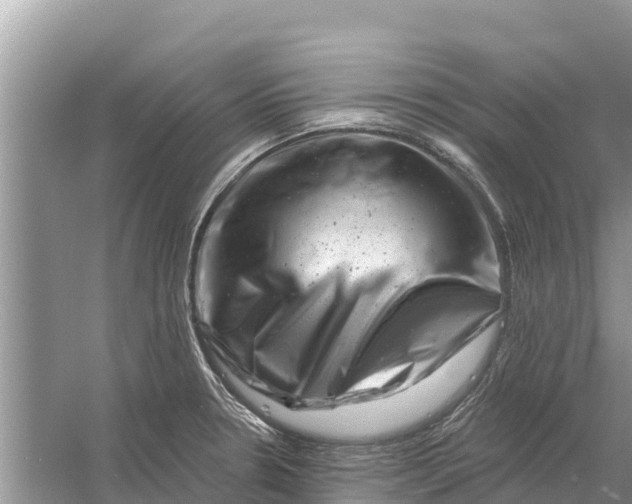 X0000055971330200509162148