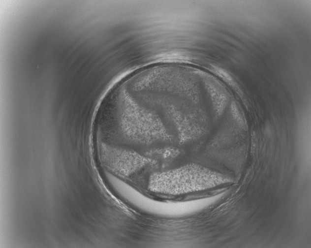 X0000055971331200509162148