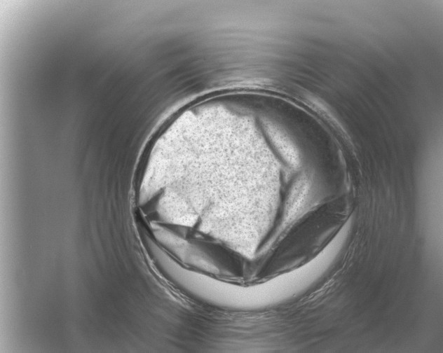 X0000055971332200509162148