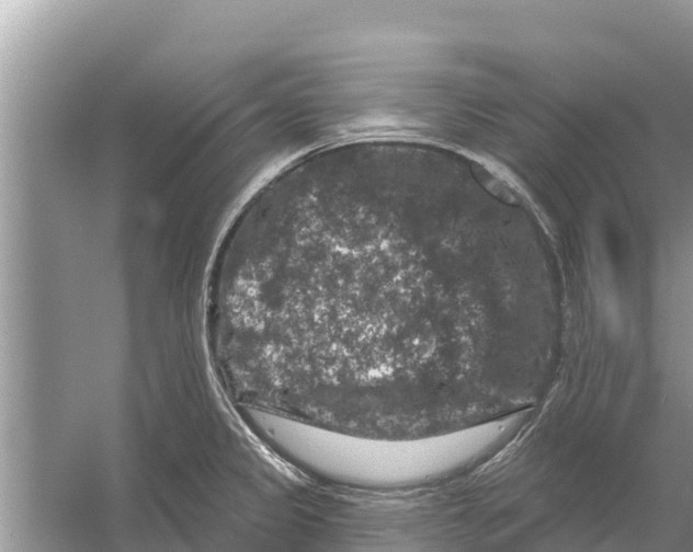 X0000055971333200509162148