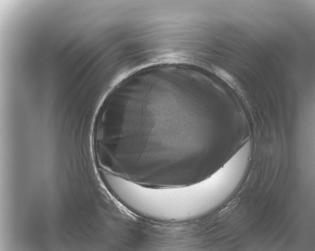 X0000055971334200509162148