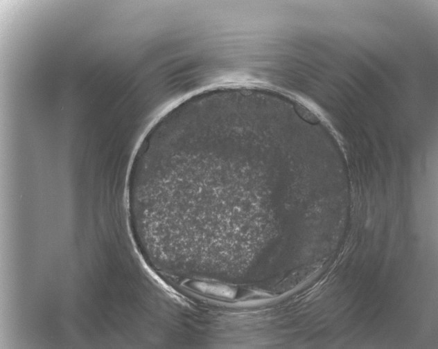 X0000055971335200509162148