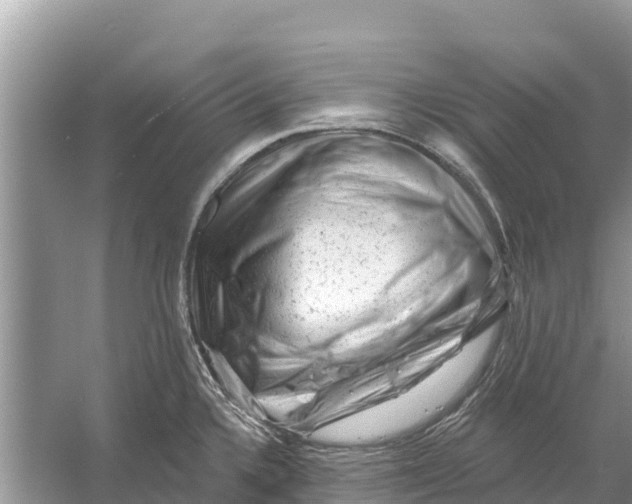 X0000055971336200509162148