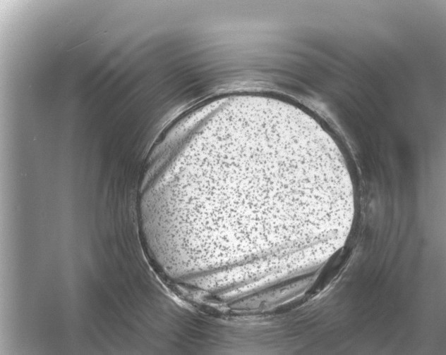 X0000055971337200509162148