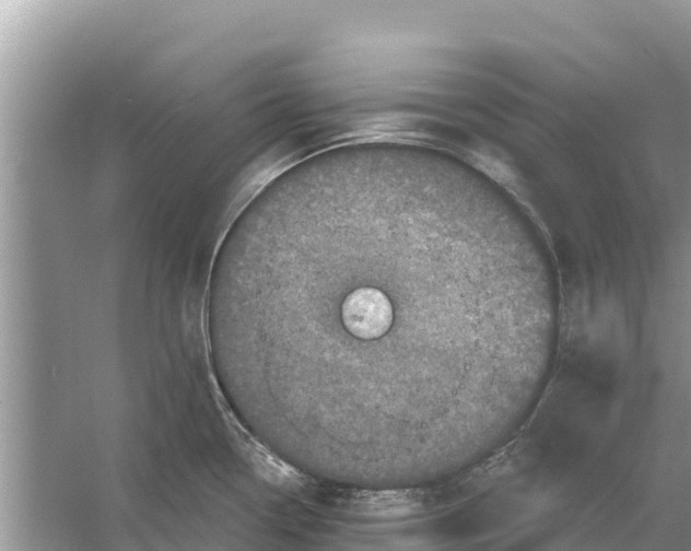 X0000055971338200509162148