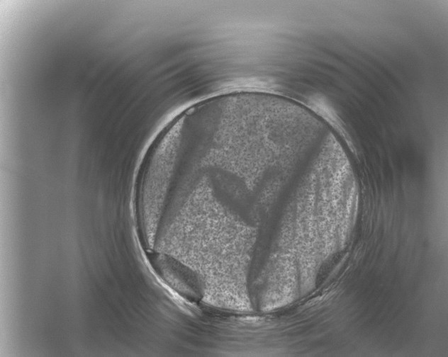 X0000055971339200509162148