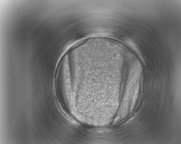 X0000055971340200509162148