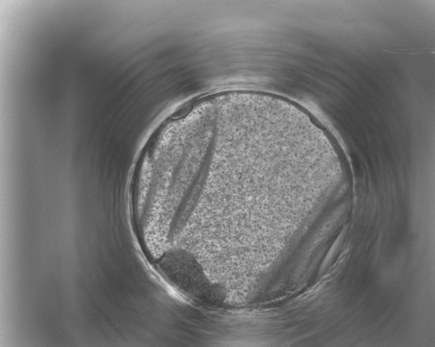 X0000055971341200509162148