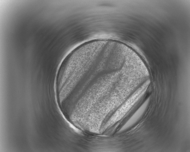 X0000055971343200509162148