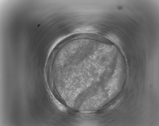 X0000055971344200509162148