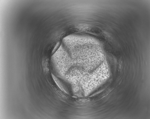 X0000055971346200509162148