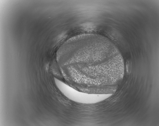 X0000055971347200509162148