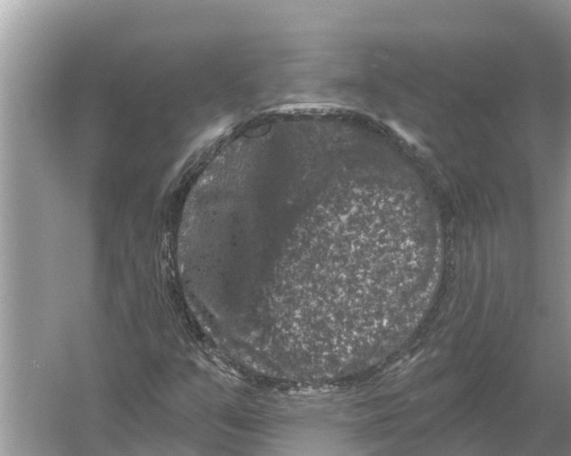 X0000055971351200509162148