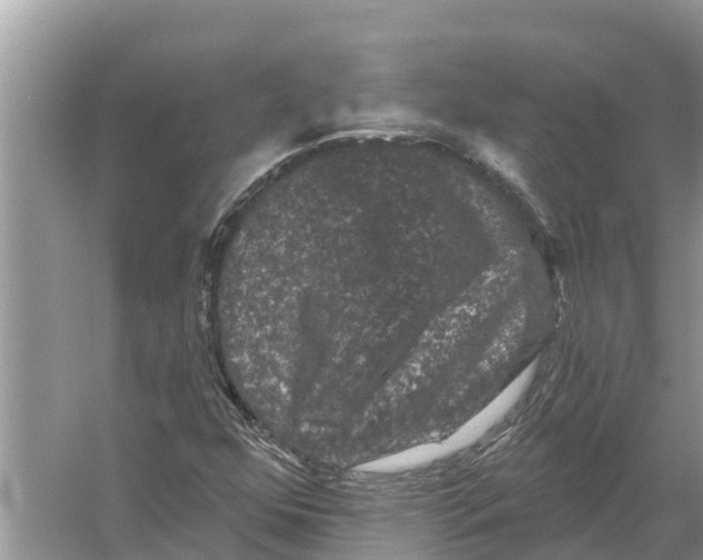 X0000055971352200509162148