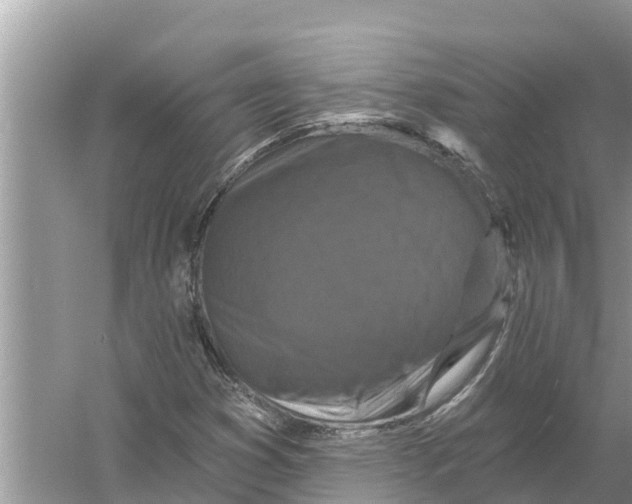 X0000055971353200509162147