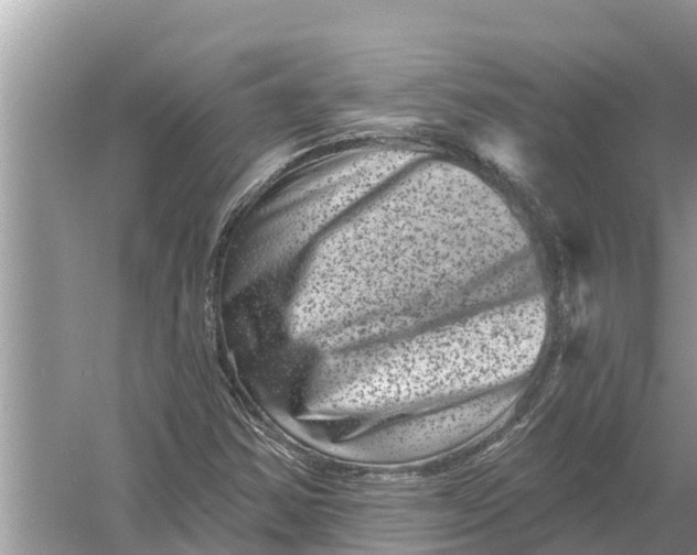 X0000055971354200509162147