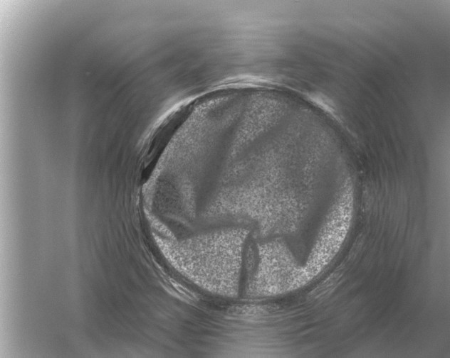 X0000055971355200509162147