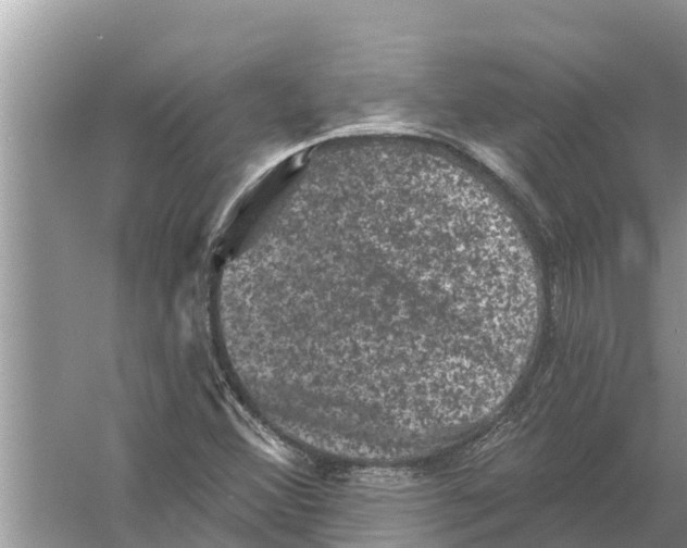 X0000055971356200509162147