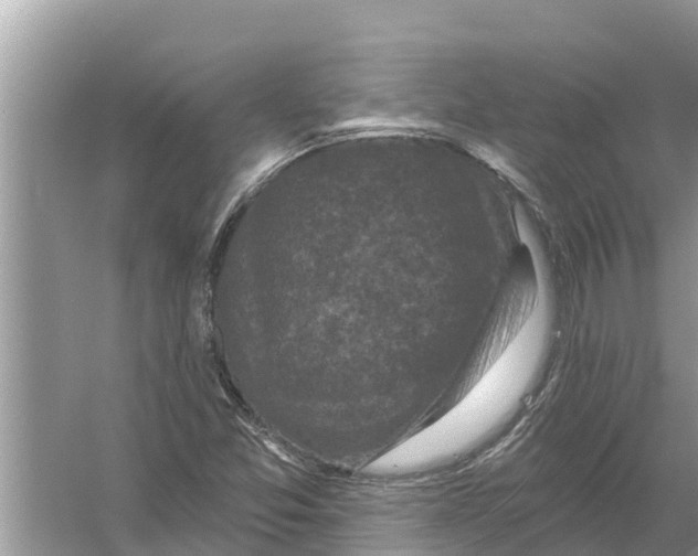 X0000055971357200509162147