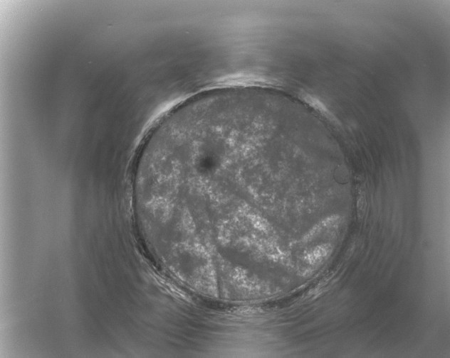 X0000055971358200509162147