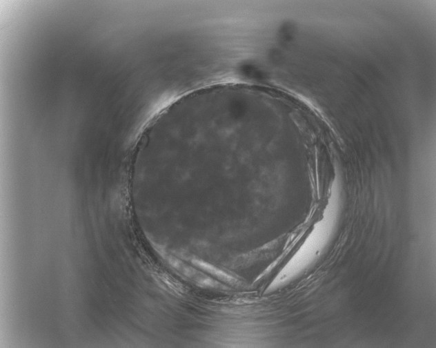 X0000055971359200509162147