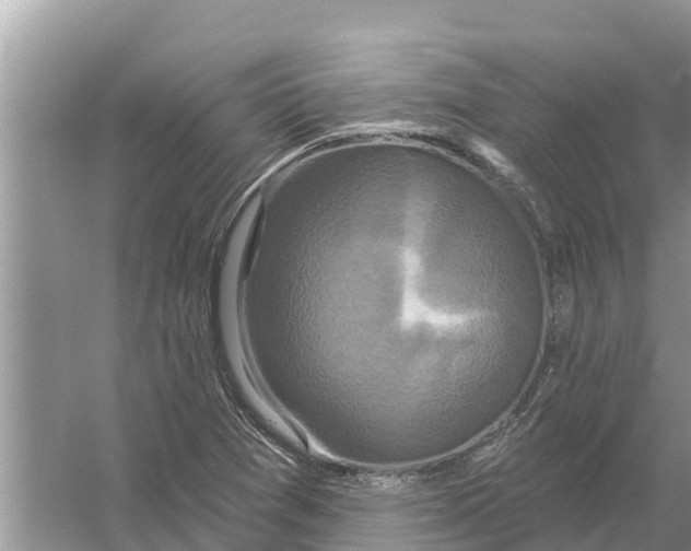 X0000055971361200509162147