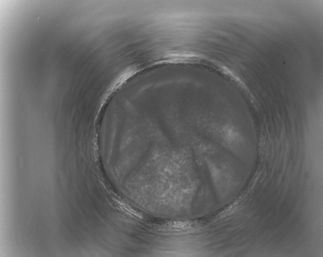 X0000055971362200509162147