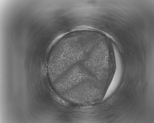 X0000055971363200509162147