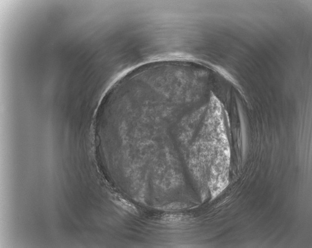 X0000055971364200509162147