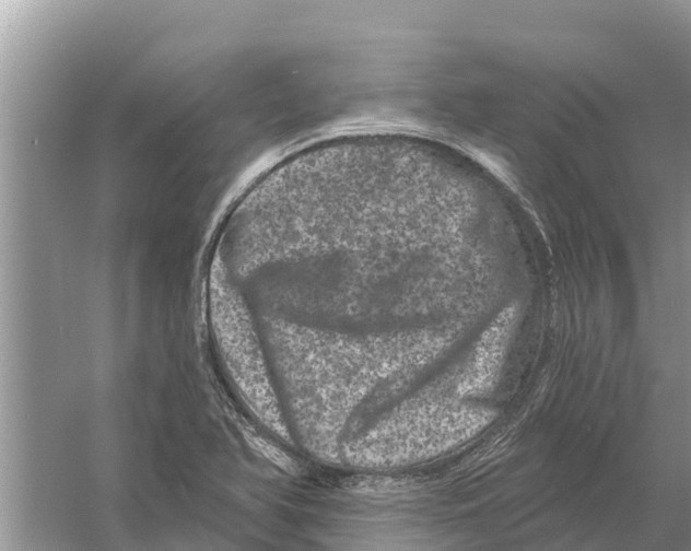 X0000055971366200509162147