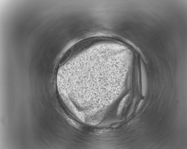 X0000055971367200509162147