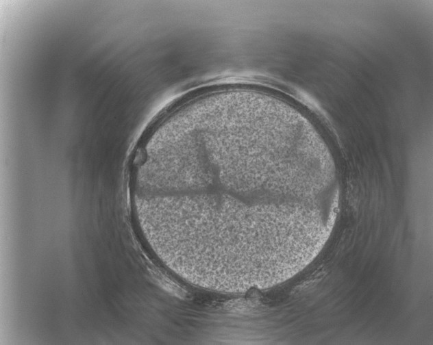 X0000055971368200509162147