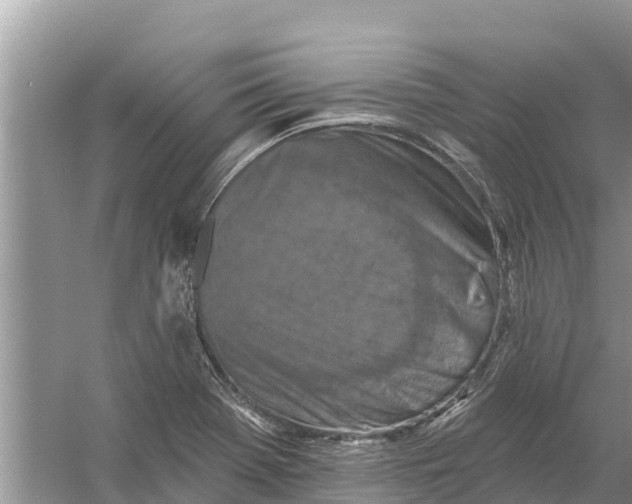 X0000055971369200509162147